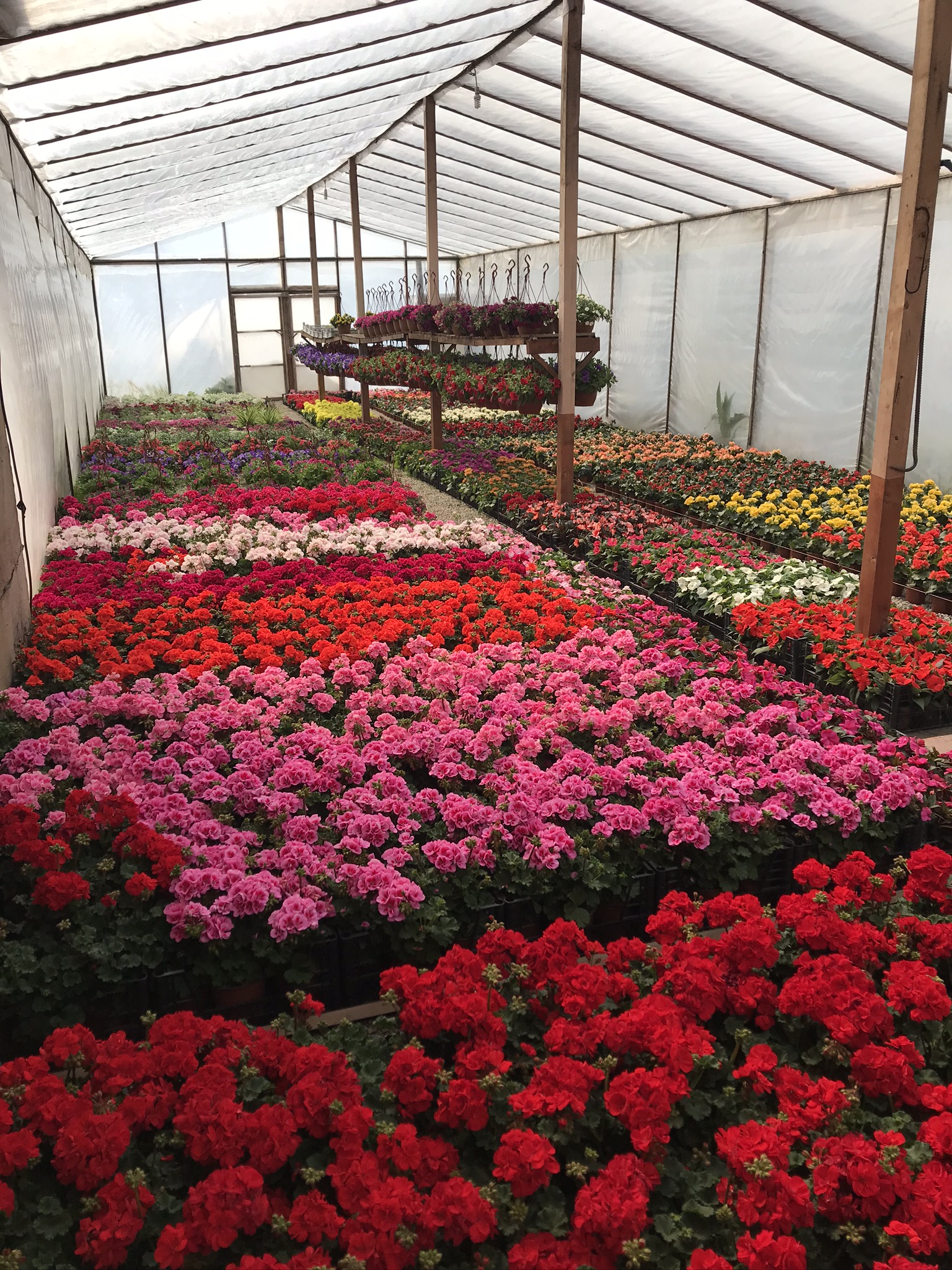 Hakkımızda Görseli