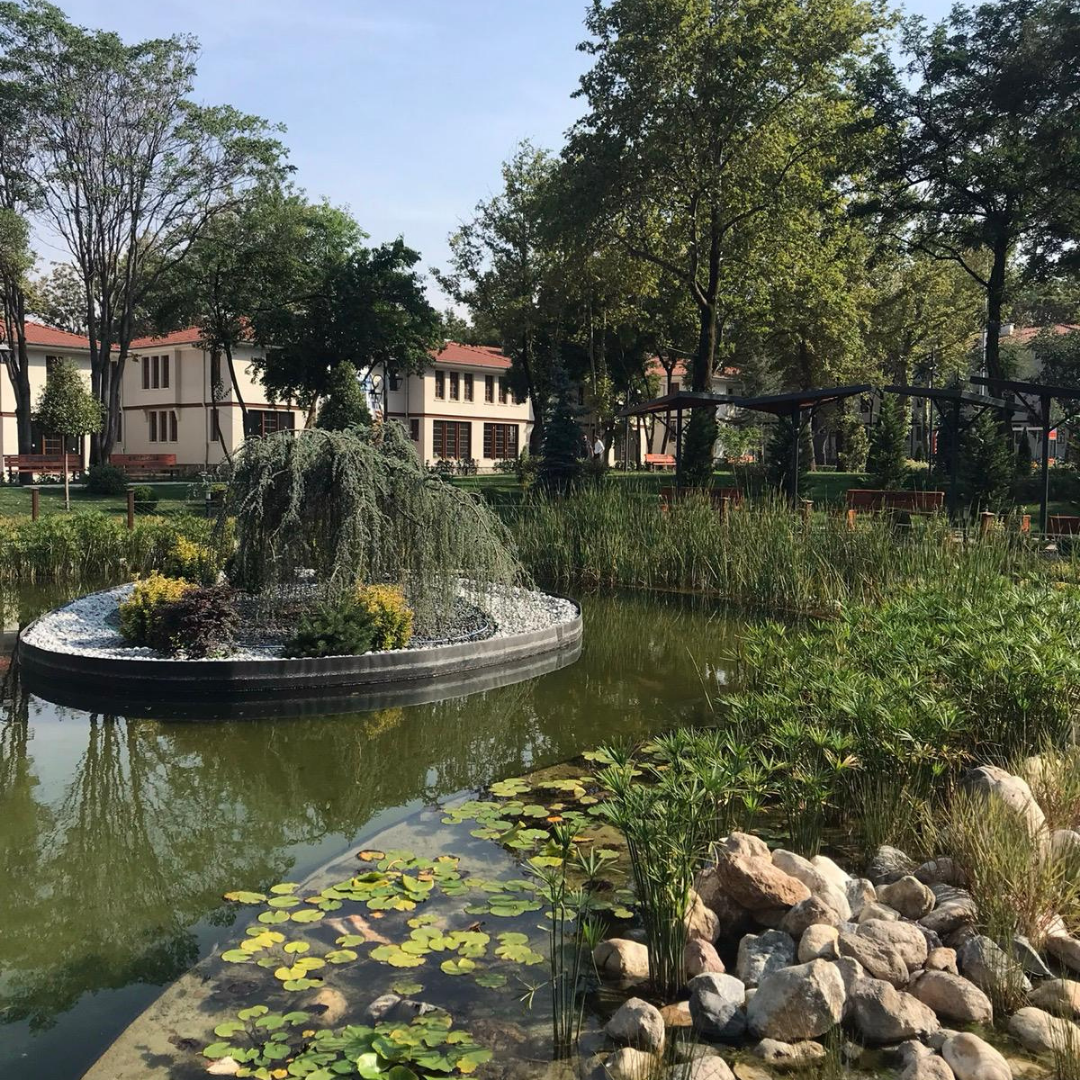 Biyolojik Gölet ve Proje