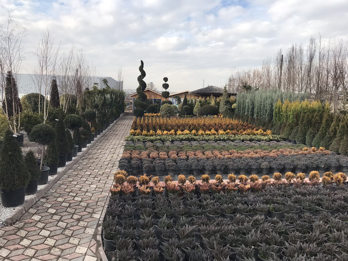 Hakkımızda Görseli