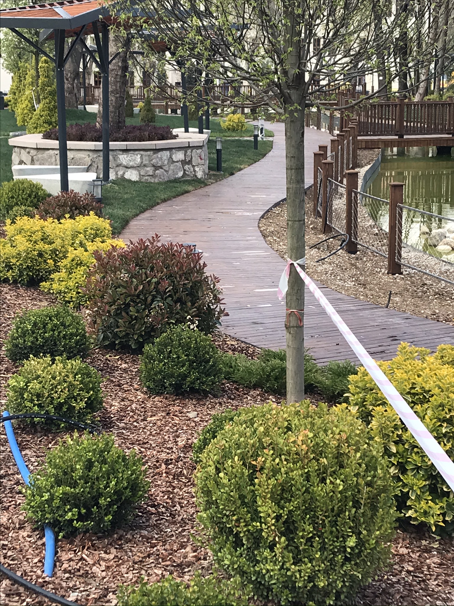 Saraçoğlu Projesi 6