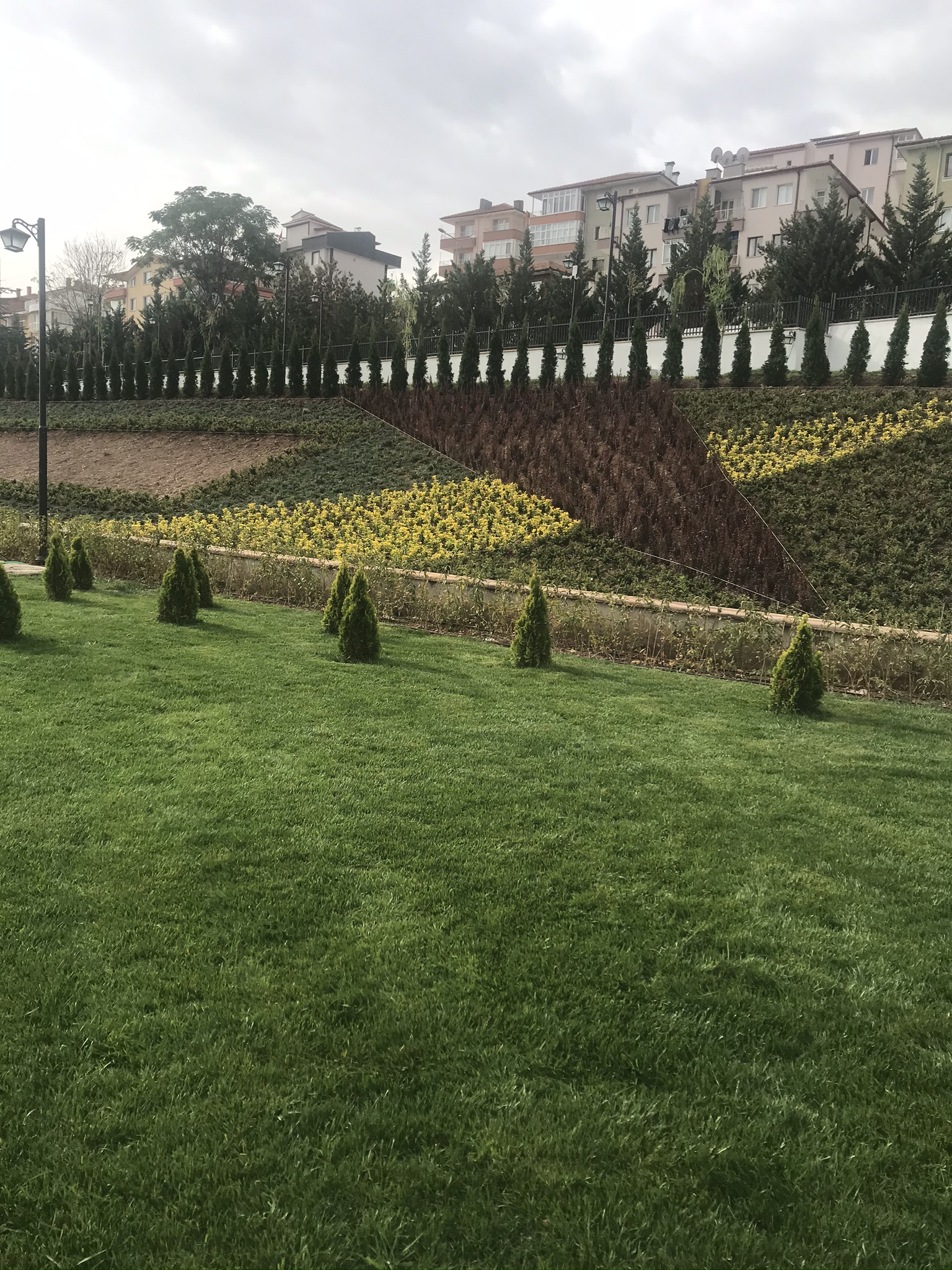 Saraçoğlu Projesi 10