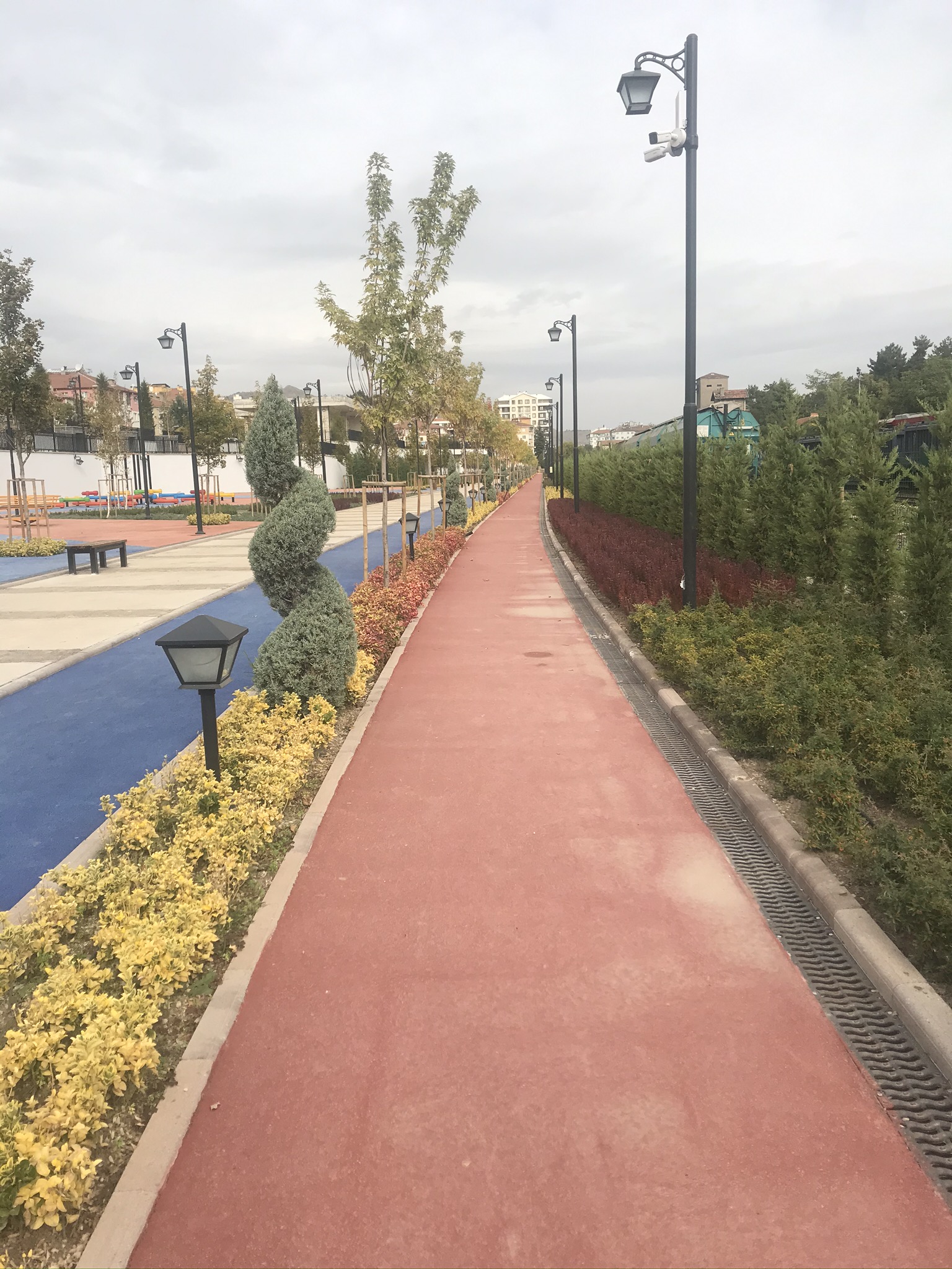 Saraçoğlu Projesi 12